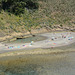 Azores, Beach in the Flooded Crater of the Islet of Vila Franca do Campo