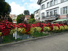 Blumenpracht in Pruntrut auf einer Brücke über den Fluss Allaine