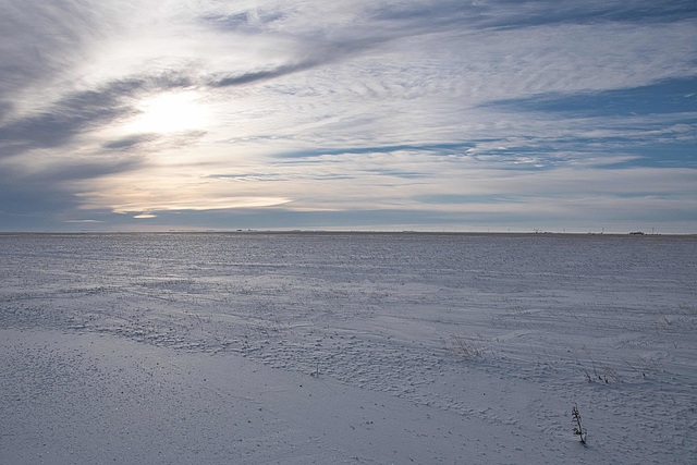 winter sun ascending