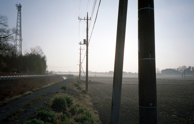 Misty morning