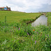 Hallig Hooge