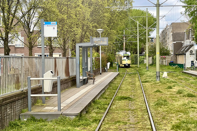 PCC Tourist Tram