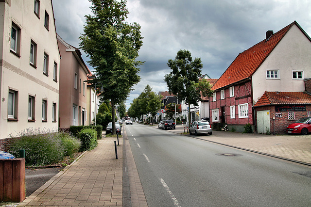 Alte Salzstraße (Hamm-Rhynern) / 6.07.2024