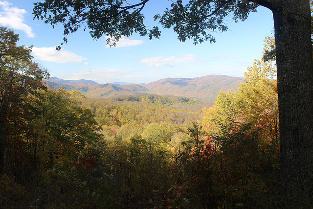 The Great Smokey Mountains around Gatlinburg, Tennessee ~~~ USA