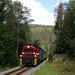 BÖ0008317