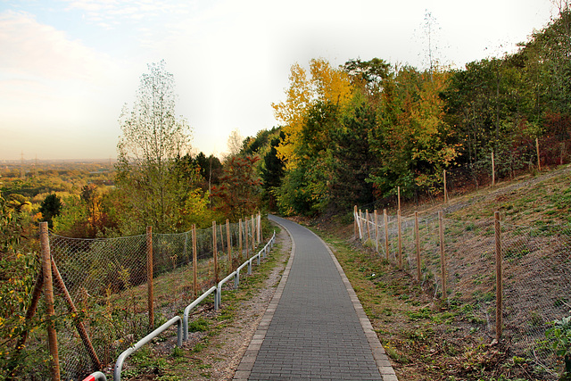 Abstieg (Halde Hoheward, Recklinghausen-Hochlarmark) / 15.10.2018