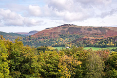 Welsh Landscape3