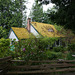 Moss Covered Cottage In Sooke