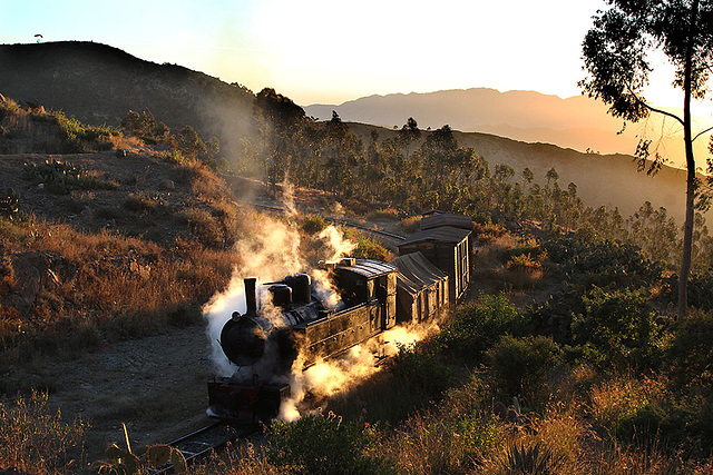 Eritrean steam sunrise