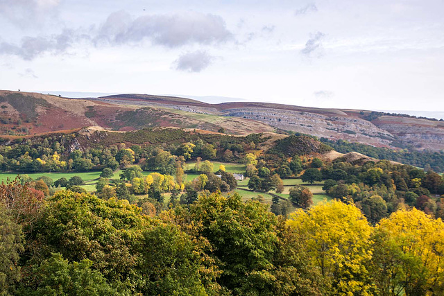 Welsh landscape4