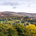 Welsh landscape4