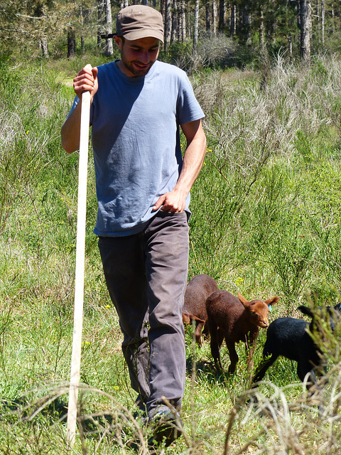 Transhumance du 5 mai 2016