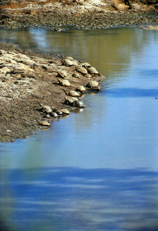 Africa - Water is essential