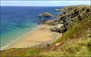 Greenbank Cove at low tide