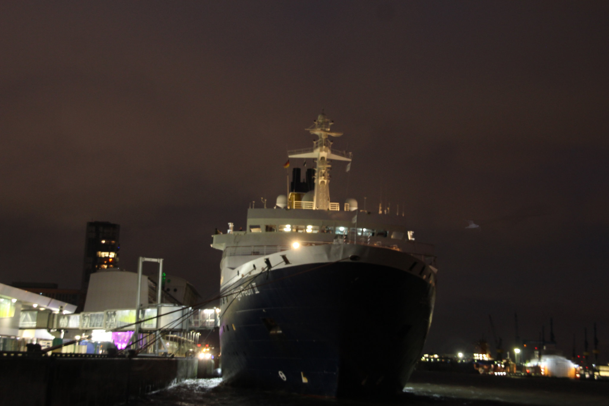 Saga Pearl   II  am Terminal Altona