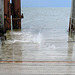 Schiffsanleger, Hallig Hooge