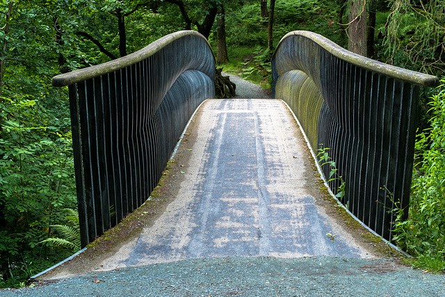 The Trevor Woodburn Bridge