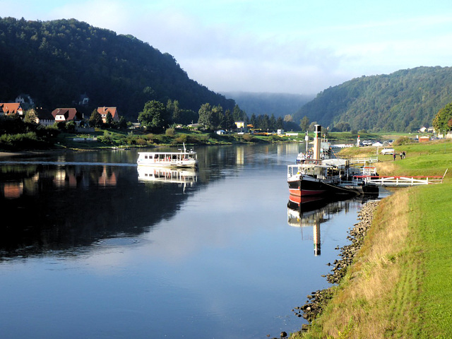 Sonniger Morgen im Elbtal - suna mateno en la Elbvalo