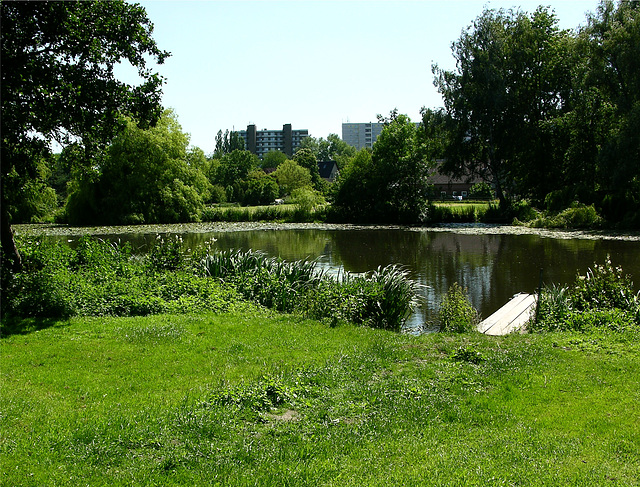 Dove Elbe und Korallusviertel-Hochhäuser