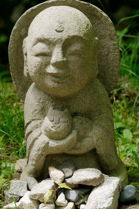 Temple Sanzen-in (三千院) (14)