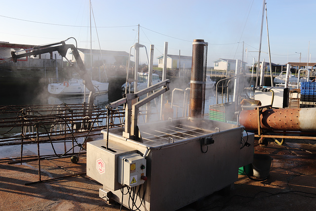 machine pour ébouillantage des huitres