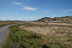 On The Lauriston To Gatehouse Road