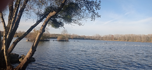 douceur d'île de France