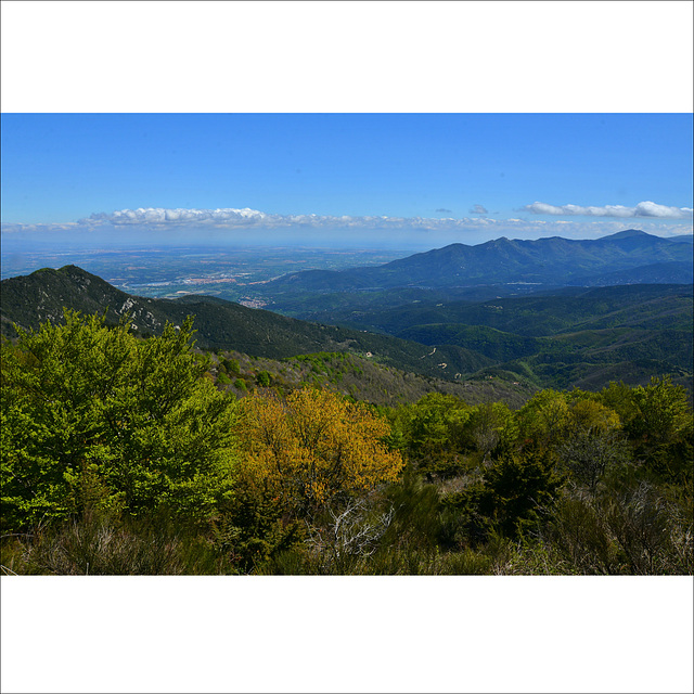 La plaine du Roussillon.