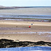 West Appledore looking out to the Bar