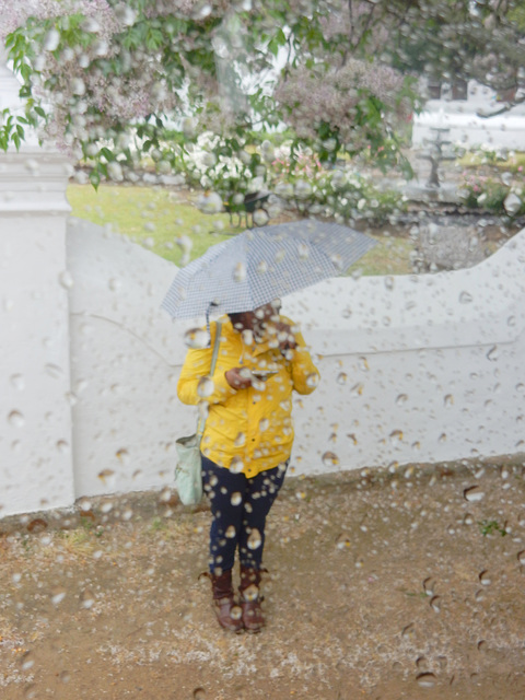 spring rain, Cape Town