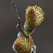 Willow Catkins