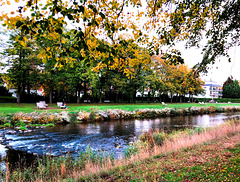 Herbst an der Ahr