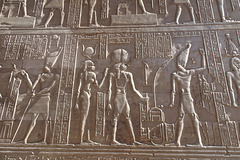 Wall Carvings At Kom Ombo Temple