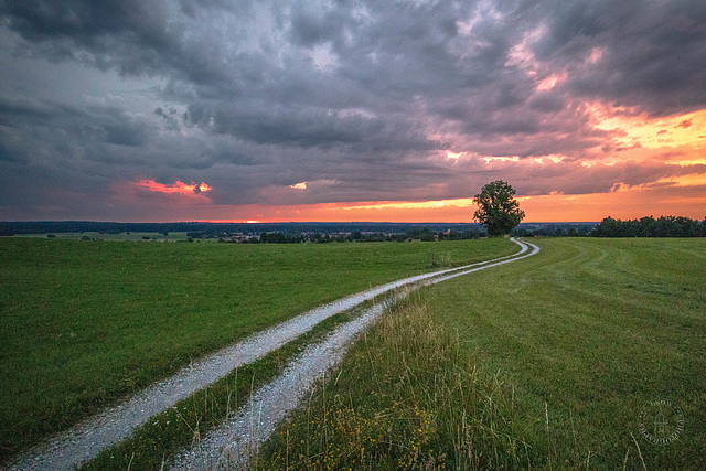 Abendglühen entgegen - against evening glow