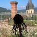 Rudbeckia
