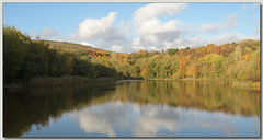 Autumn at Strinesdale