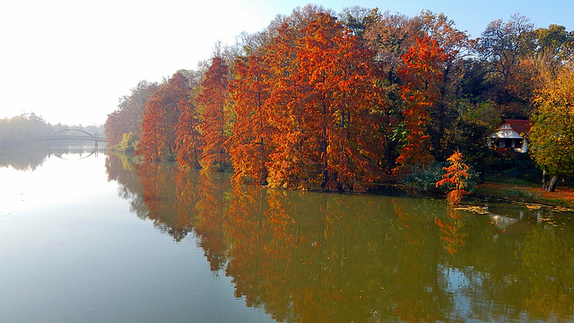 Szarvasi-Holt-Körös