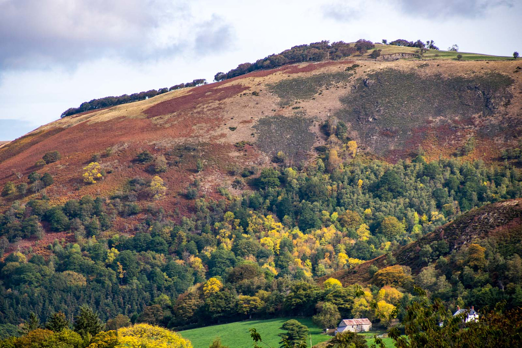 Welsh landscape9