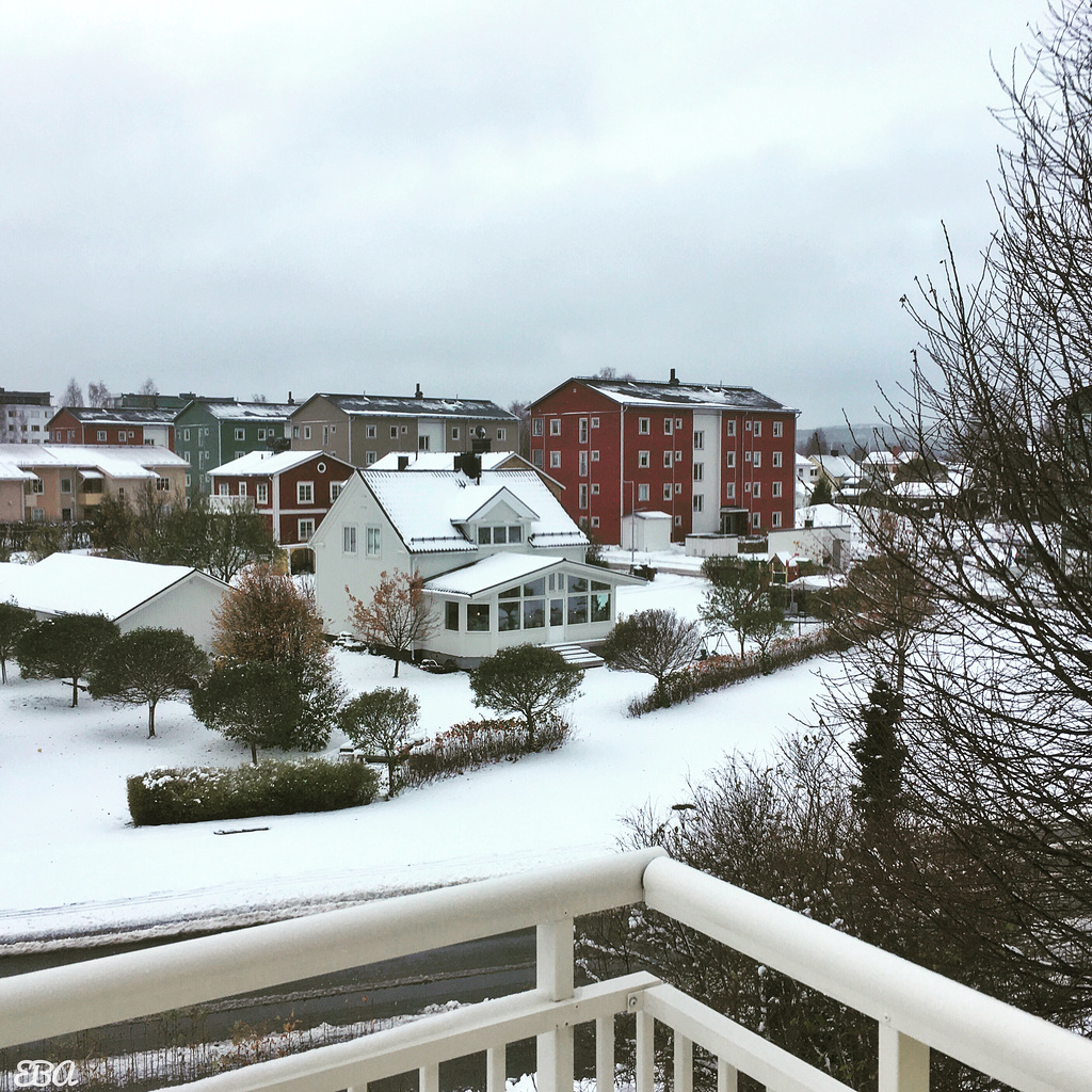 View from our Balcony Today