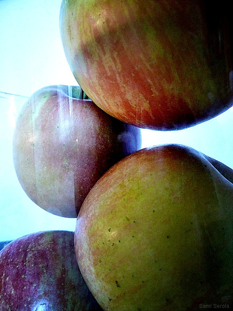 Apples in a glass jar