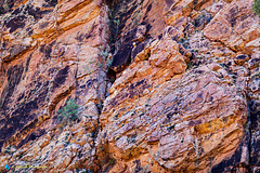 Rocks on Yeperenye - Anthwerrke (Emily Gap)
