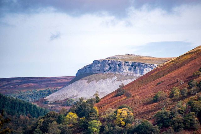 Welsh landscape10