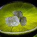 MM Süss Sauer Zuckerkristalle auf Limette