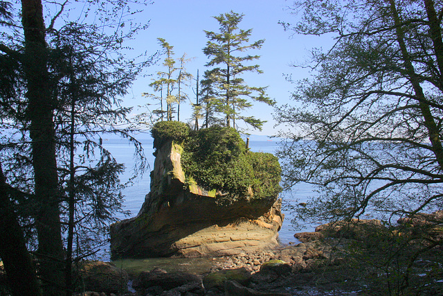 Cape Flattery