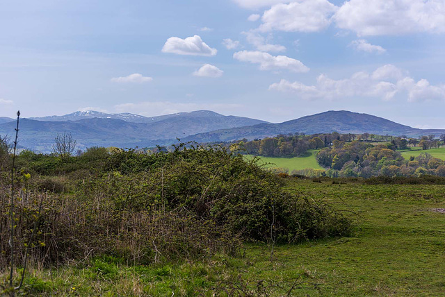 RSPB Conway with the Snowdonia mountains as a backdrop