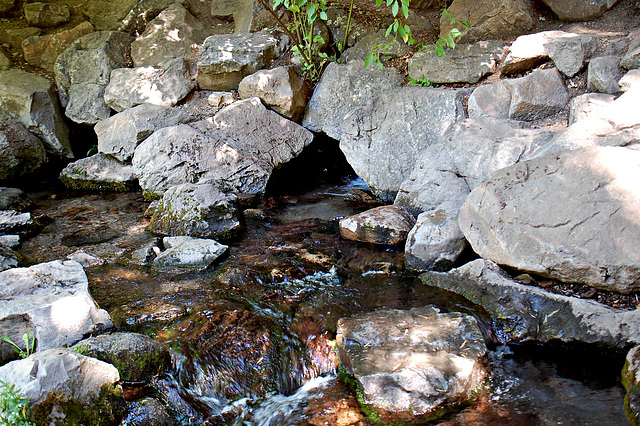 Source of Sacramento river