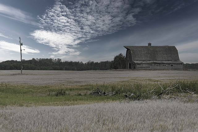 B&W barn with colour added