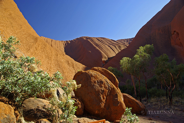Visiting Uluru