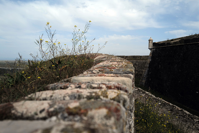 Elvas, Forte da Graça, HWW