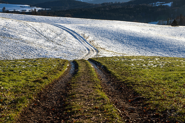 the green road